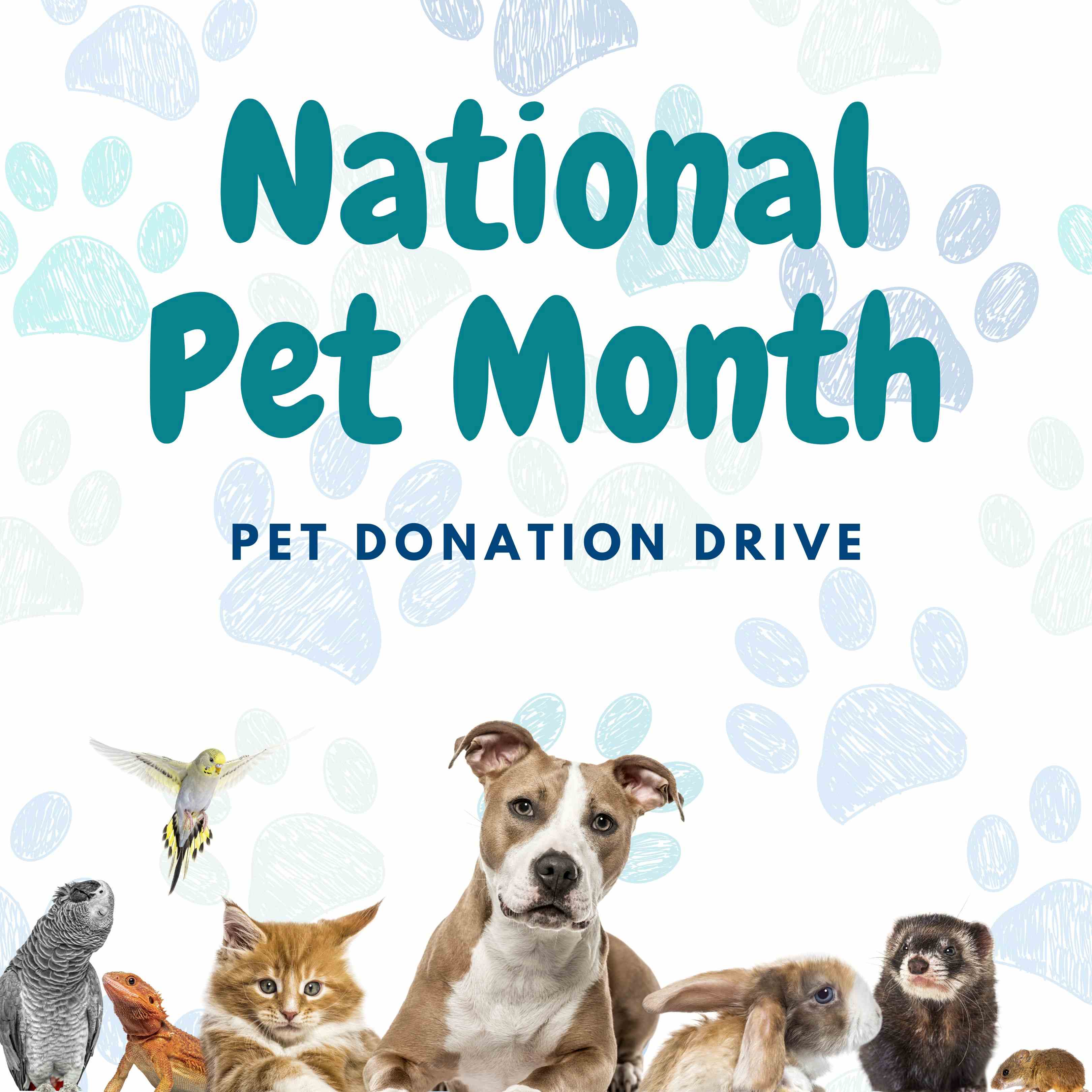 2025 Pet month Drive