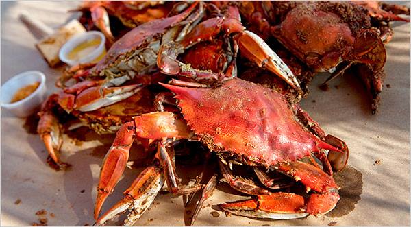 Leonardtown Lions Crabs festival 2025