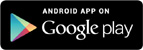 Google Store